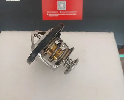 Haval H9 Thermostat