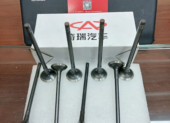 Chery Tiggo Valve Exhaust