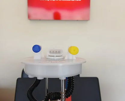 Changan Eado Fuel Pump