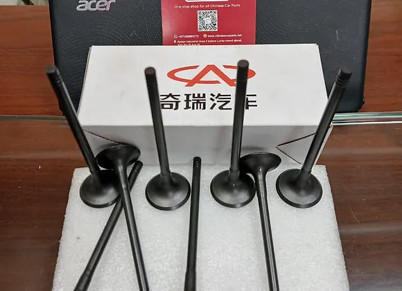 Chery Tiggo Valve Intake