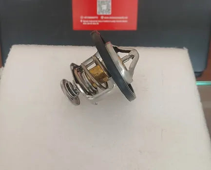 Haval H9 Thermostat