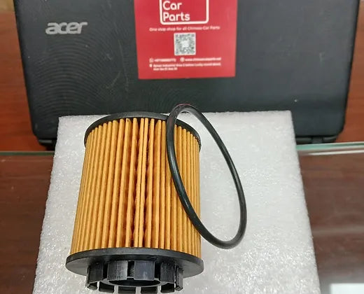 Haval Jolion Oil Filter