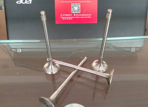 Chery Intake and exhaust valve