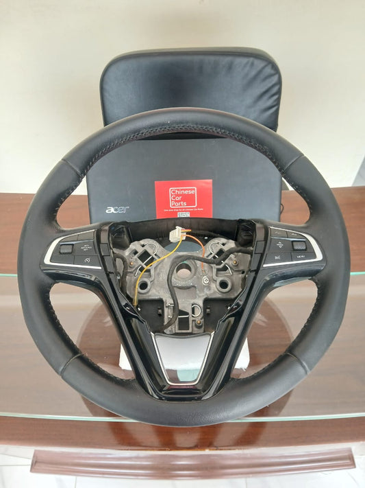 BORGWARD Steering wheel control