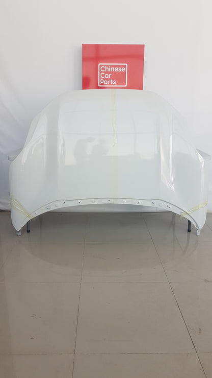 Zeekr 001 Bonet (Hood)