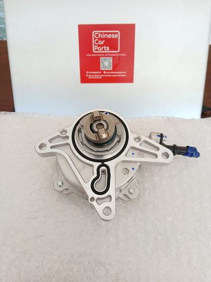 GAC GS8 Vacuum pump repair kit