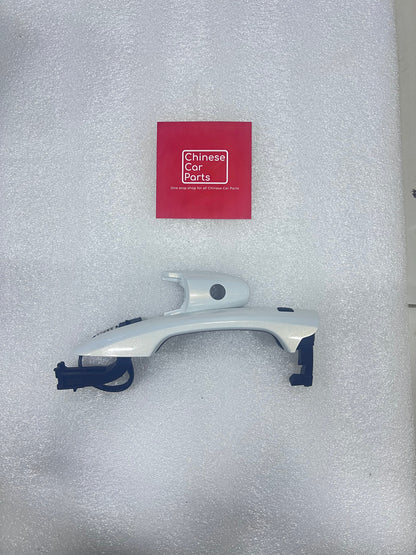 Great wall Poer Front handel Left