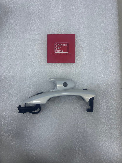 Great wall Poer Front handel Left