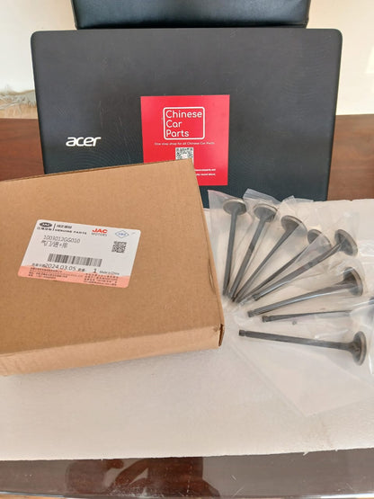 JAC S3 Intake Valve + Exhaust