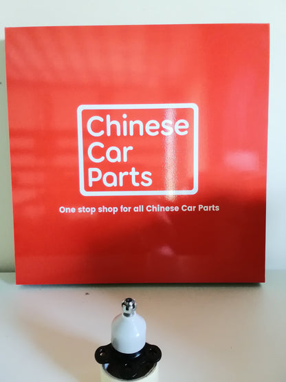 Great wall WINGLE 5 Lower Front Ball Joint