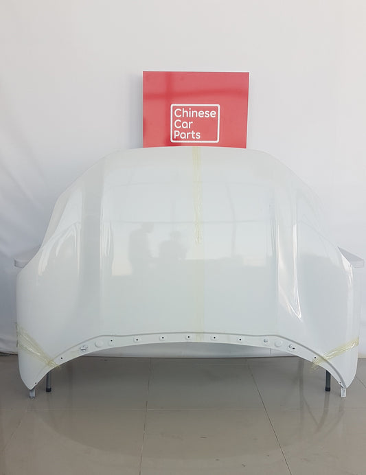 Zeekr 001 Bonet (Hood)