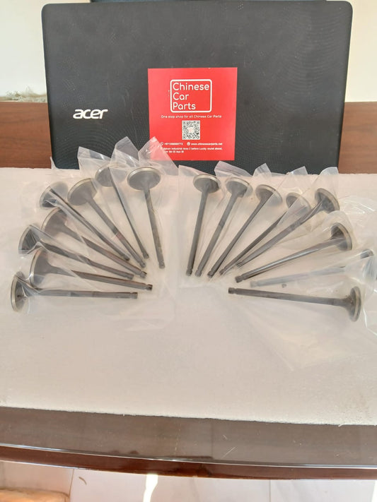 JAC S3 Intake Valve + Exhaust