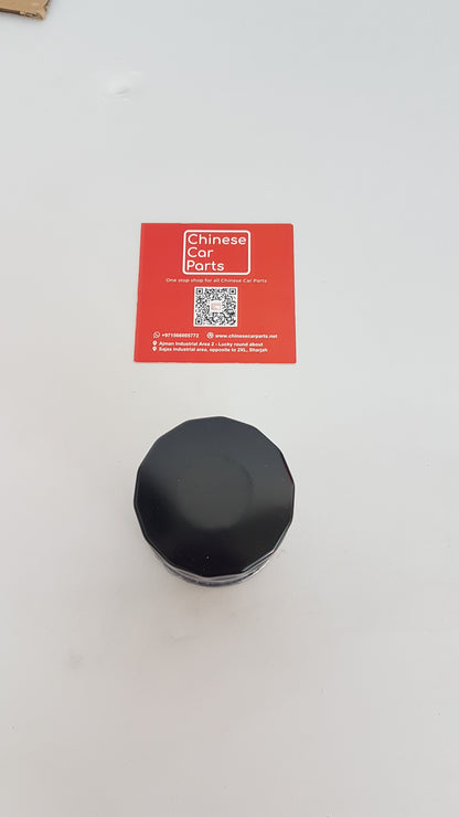 GAC GS3 Oil Filter