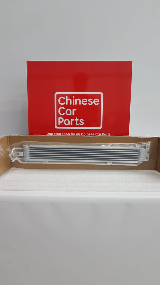 JAC JS4 Intter Cooler