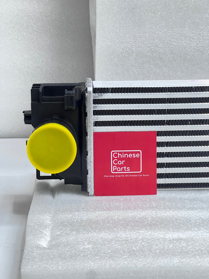 Geely monjaro intercooler