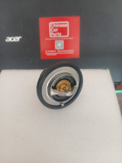 Haval H9 Thermostat