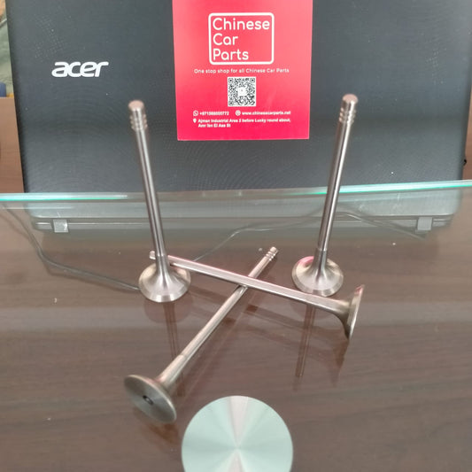 Chery Intake and exhaust valve