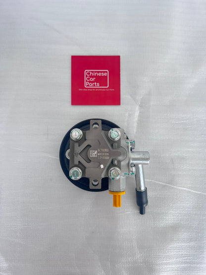 GWM PLATINUM POWER STEERING OIL PUMP
