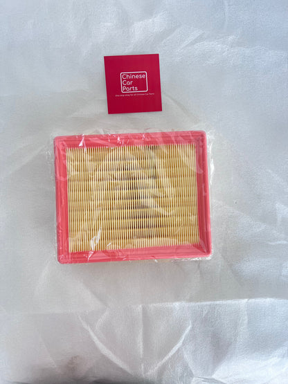 Haval Drago H6 Air filter