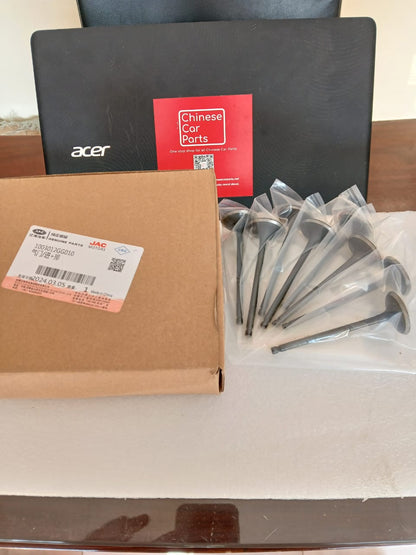 JAC S3 Intake Valve + Exhaust