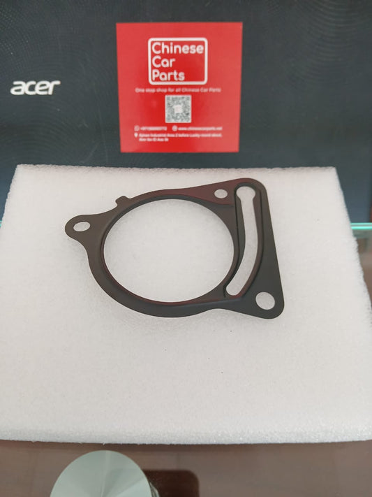 Borgward BX7 Pump seal ring