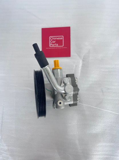 GWM PLATINUM POWER STEERING OIL PUMP