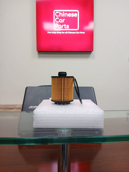 Haval Jolion Oil Filter