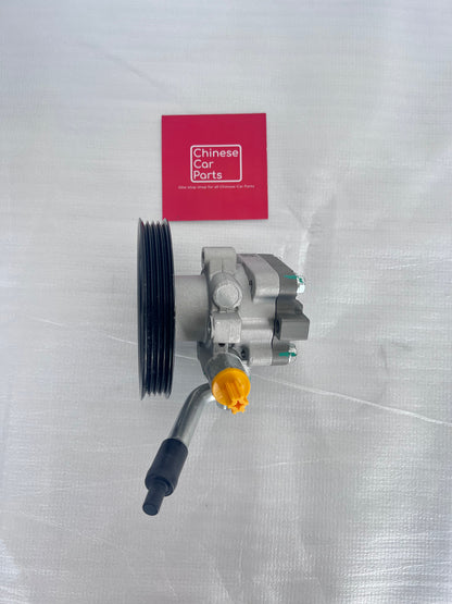 GWM PLATINUM POWER STEERING OIL PUMP