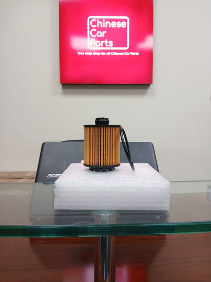 Haval Jolion Oil Filter