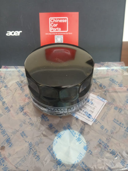 Changan CS75 Oil Filter