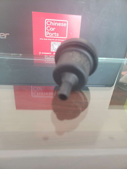 Geely Emgrand Purse Valve