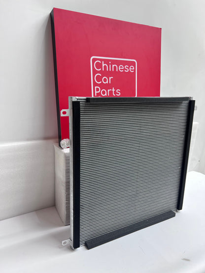 BYD Leopard 5 Condenser