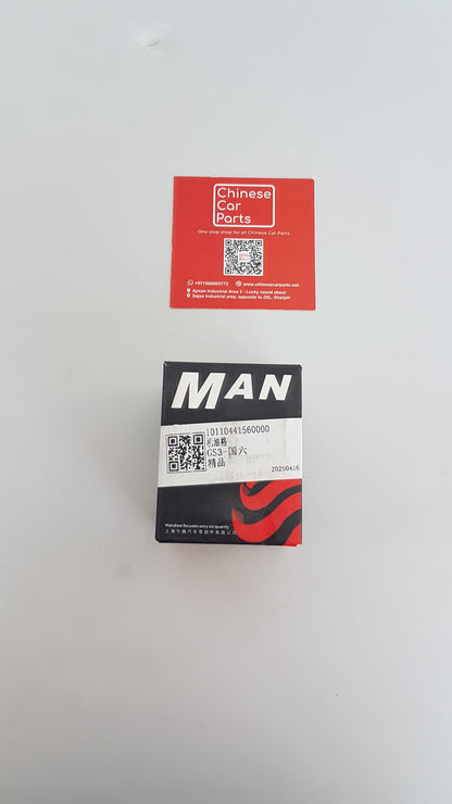 GAC GS3 Oil Filter