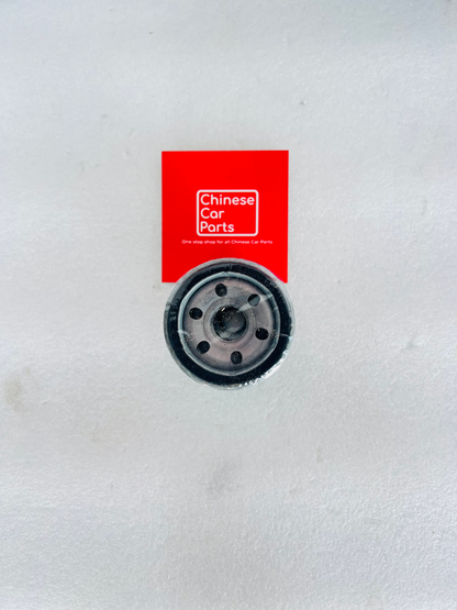 Haval H2 Oil Filter