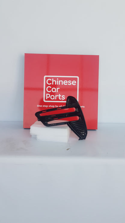 BYD SongPlus Front Fog Lamp Cover