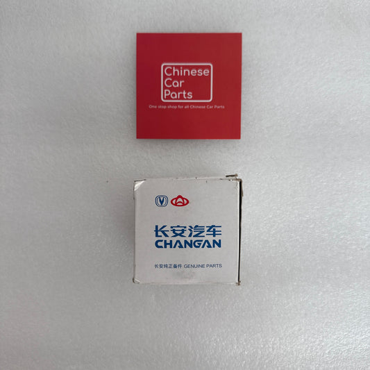 Chanagn Oil Filters