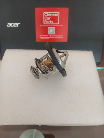 Haval H9 Thermostat