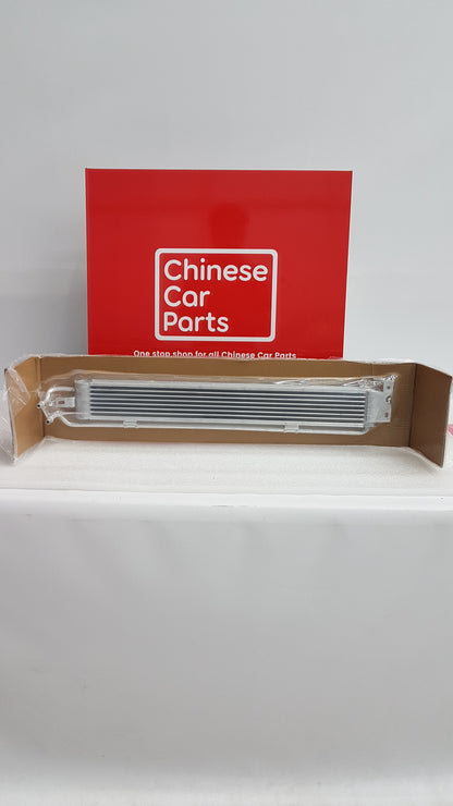 JAC JS4 Intter Cooler